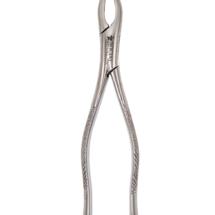 Forceps extrator dentário adulto 01