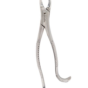 Forceps extrator dentário adulto 16L