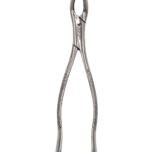 Forceps extrator dentário adulto 17