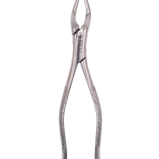 Forceps extrator dentário adulto 65