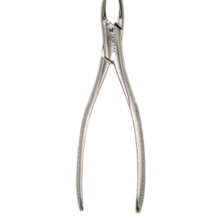 Forceps extrator dentário Adulto Witzel 226