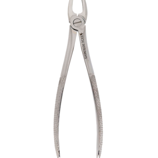 Forceps extrator dentário Adulto 1 padrão Inglês