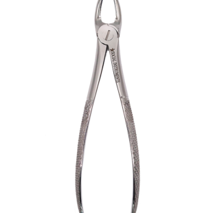 Forceps extrator dentário Adulto 18 padrão Inglês