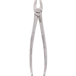 Forceps extrator dentário Adulto 2 padrão Inglês