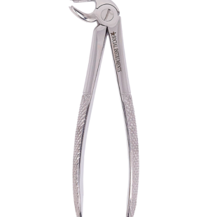 Forceps extrator dentário Adulto 22 Boca lateral padrão Inglês