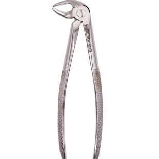 Forceps extrator dentário Adulto 33 Boca lateral padrão Inglês
