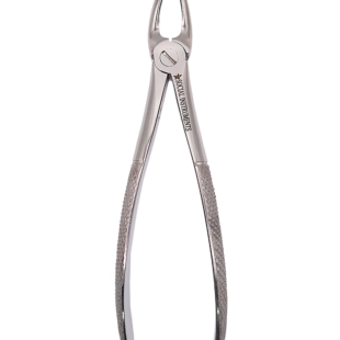 Forceps extrator dentário Adulto 7 padrão Inglês