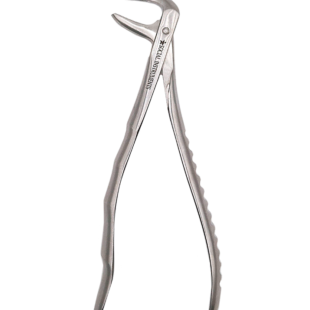 Forceps extrator dentário Adulto 75 Boca lateral