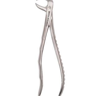 Forceps extrator dentário Adulto 86B Boca lateral
