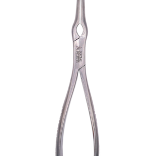 Pinça Asch para Septo